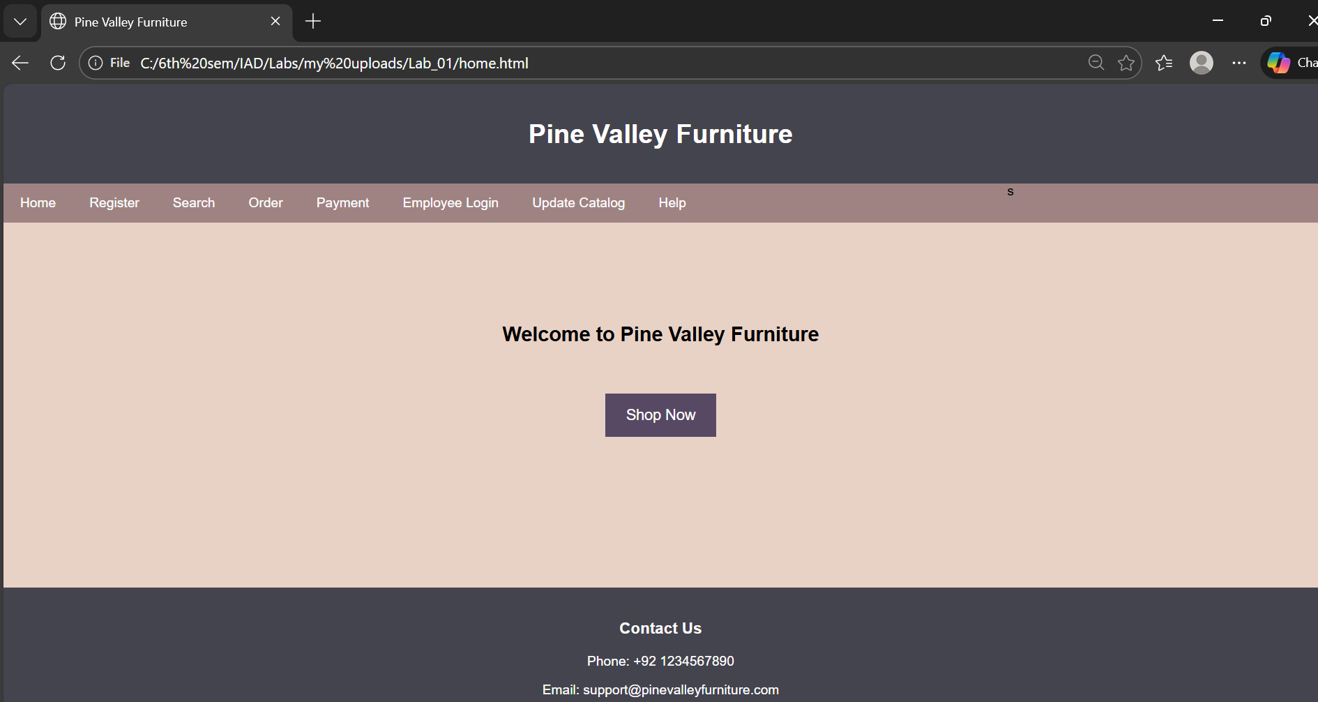 Home Page Screenshot